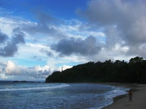 Pulau Bangkaru, Pulau Seribu Penyu