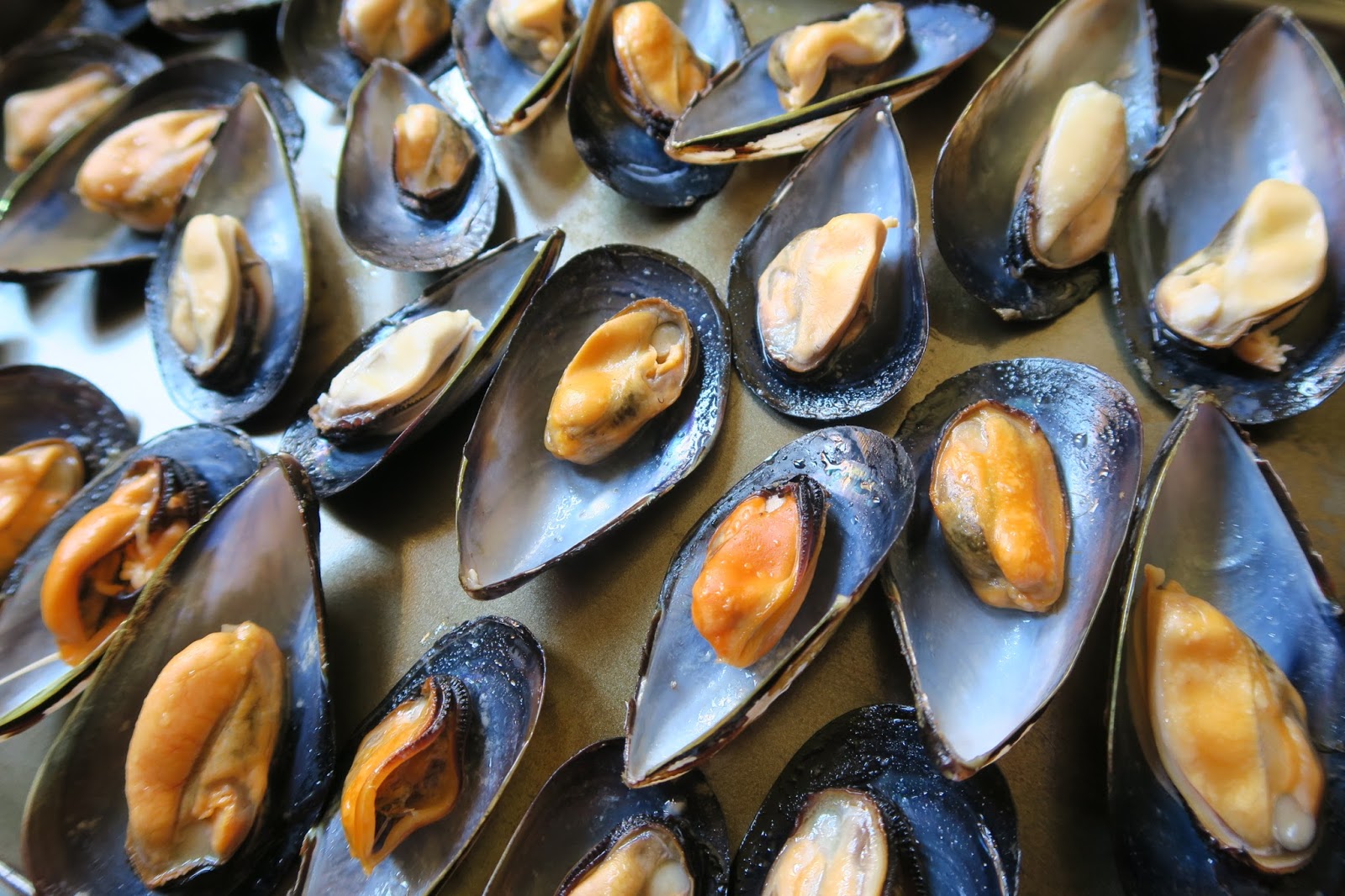 Venice & Mussels Gondole of the Sea