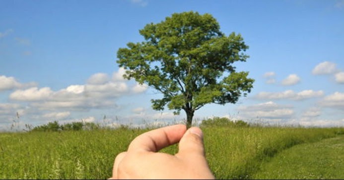 Pengertian Lingkungan