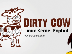 Dirty Cow Android Flaw Not included In Google Nov Security Update