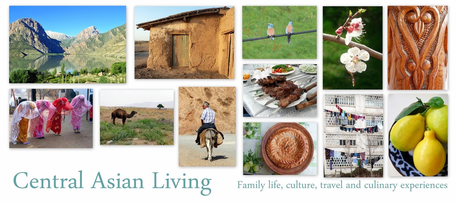 Central Asian Living