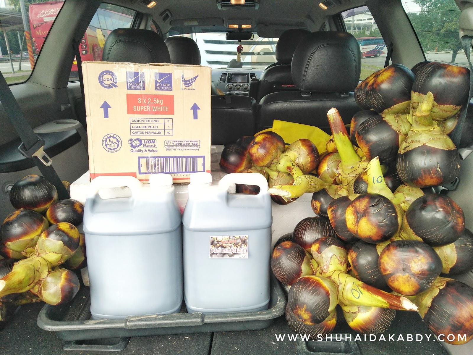 Delivery Kelapa Laut Man Java Delivery Kelapa Laut Man Java