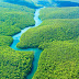 Amazon Forest Wallpaper 4k Amazon Rainforest Wallpaper (69+ Images)