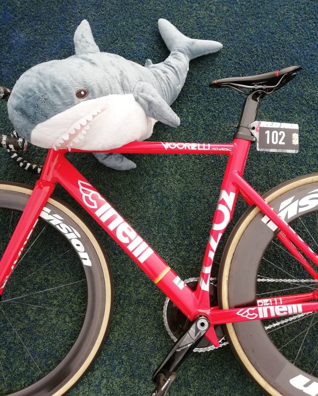 cinelli vigorelli shark 2019
