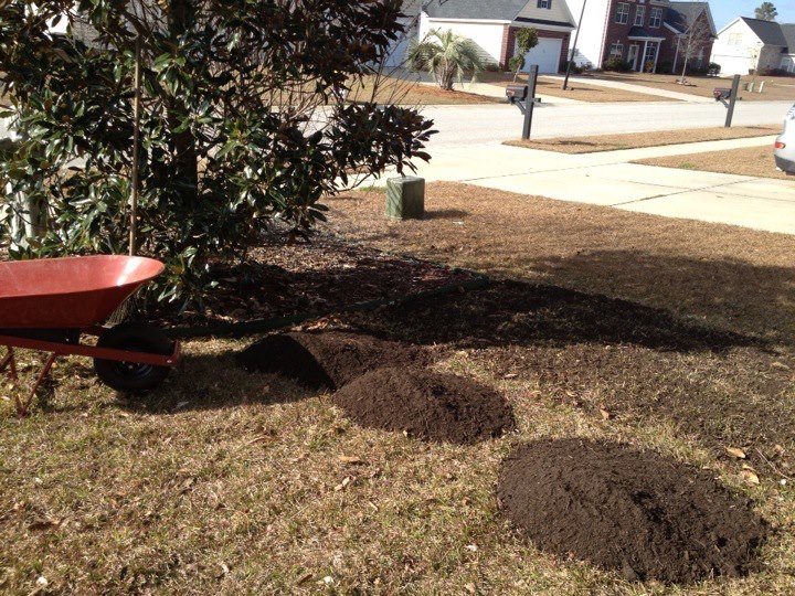 My Carolina Yard Topdressing the lawn