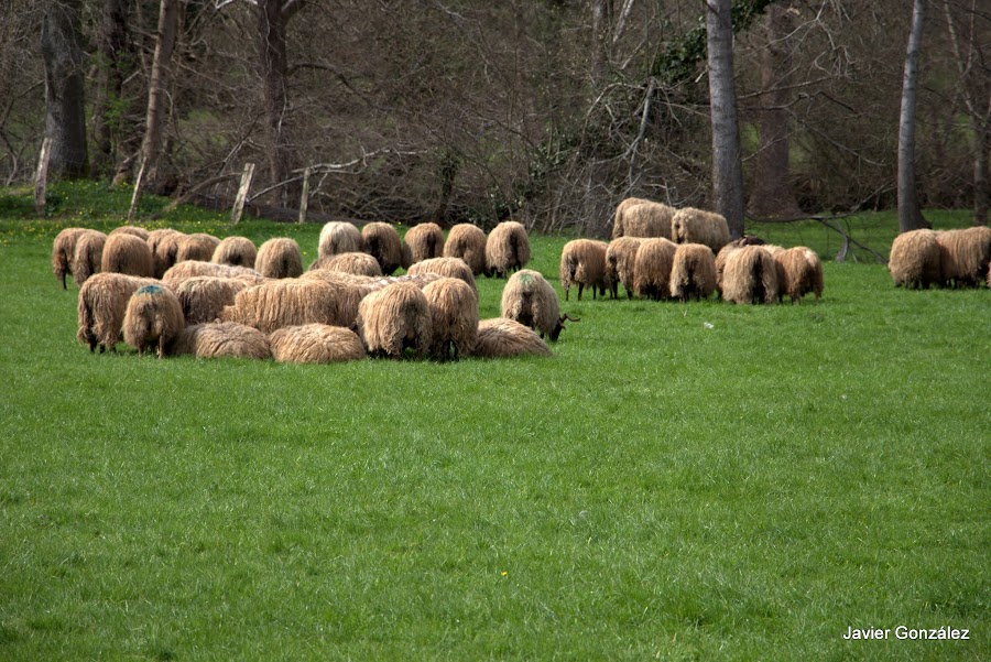 Valle del Baztán, Navarra, España