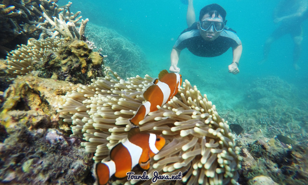 Paket Wisata Taman Nasional Ujung Kulon Banten 3H2M ...