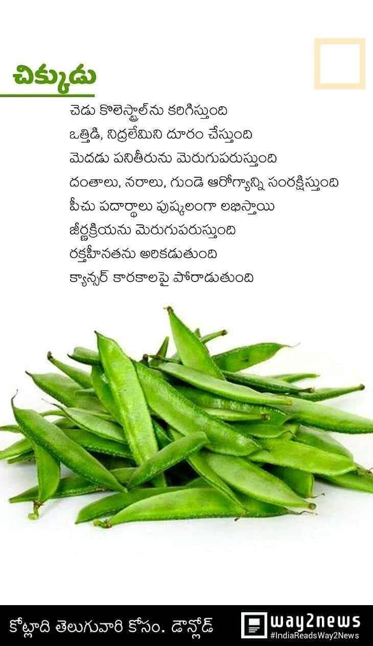 TELUGU WEB WORLD Benefits with Chikkudukaya in Telugu Benifits of