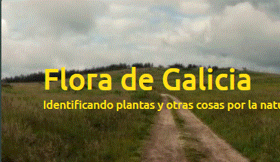 Flora de Galicia