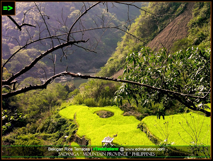 Bekigan Rice Terraces in Sadanga