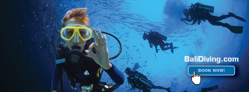 Cheap Diving & Snorkeling, Free Equipments Rental