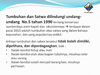Daftar Lengkap Satwa Dilindungi 2018 Permen Nomer P 20 Menlhk