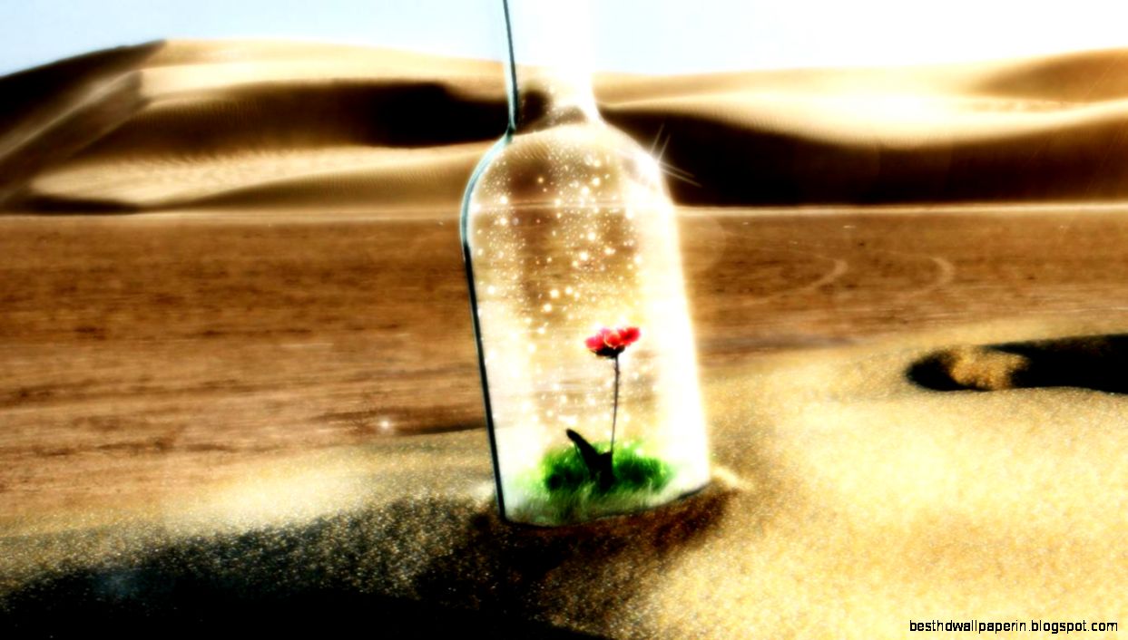 live nature desert life