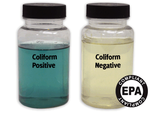 coliform bacteria test kit