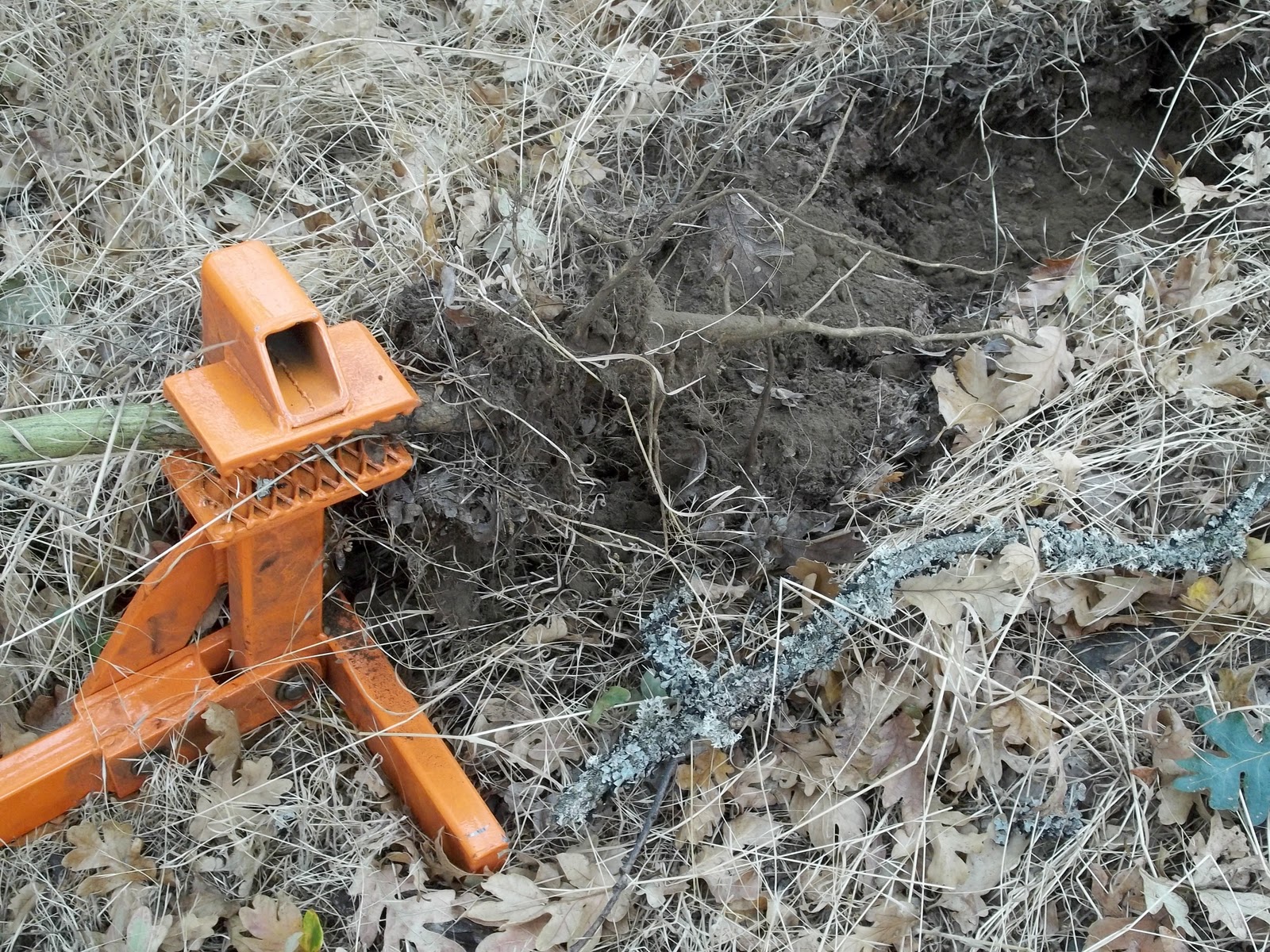 Hood River Area Trail Stewards Tool Review Weed Wrench