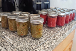 canning pressure parts cooker canner zucchini relish ball cooking looking