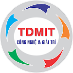 TDM INFORMATION TECHNOLOGY