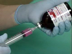 Living Sheltered: Understanding Shelter Euthanasia