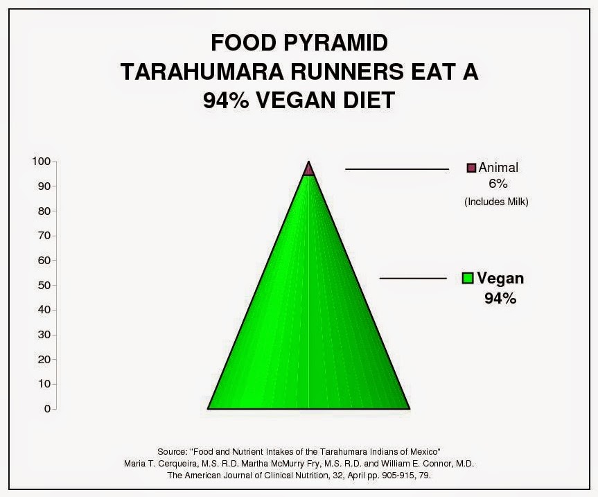 Food pyramid graph of Tarahumara runners of Copper Canyon Mexico, similar to the Kenyan Kalenjin Tribe, and the Ethiopian marathon winners. Opposite diet of the Inuit, Maasai Masai tribe, Atkins, lowcarb, paleo and crossfit.