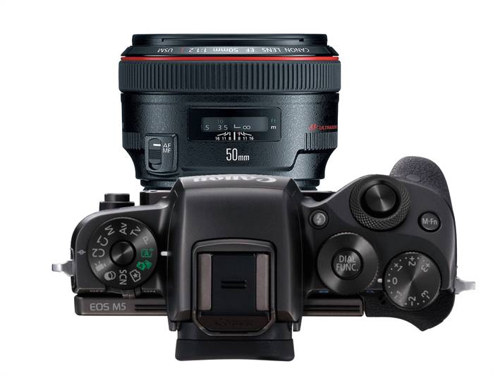 Michael Daniel Ho The Wildlife Hotographer Canon May Announce Full