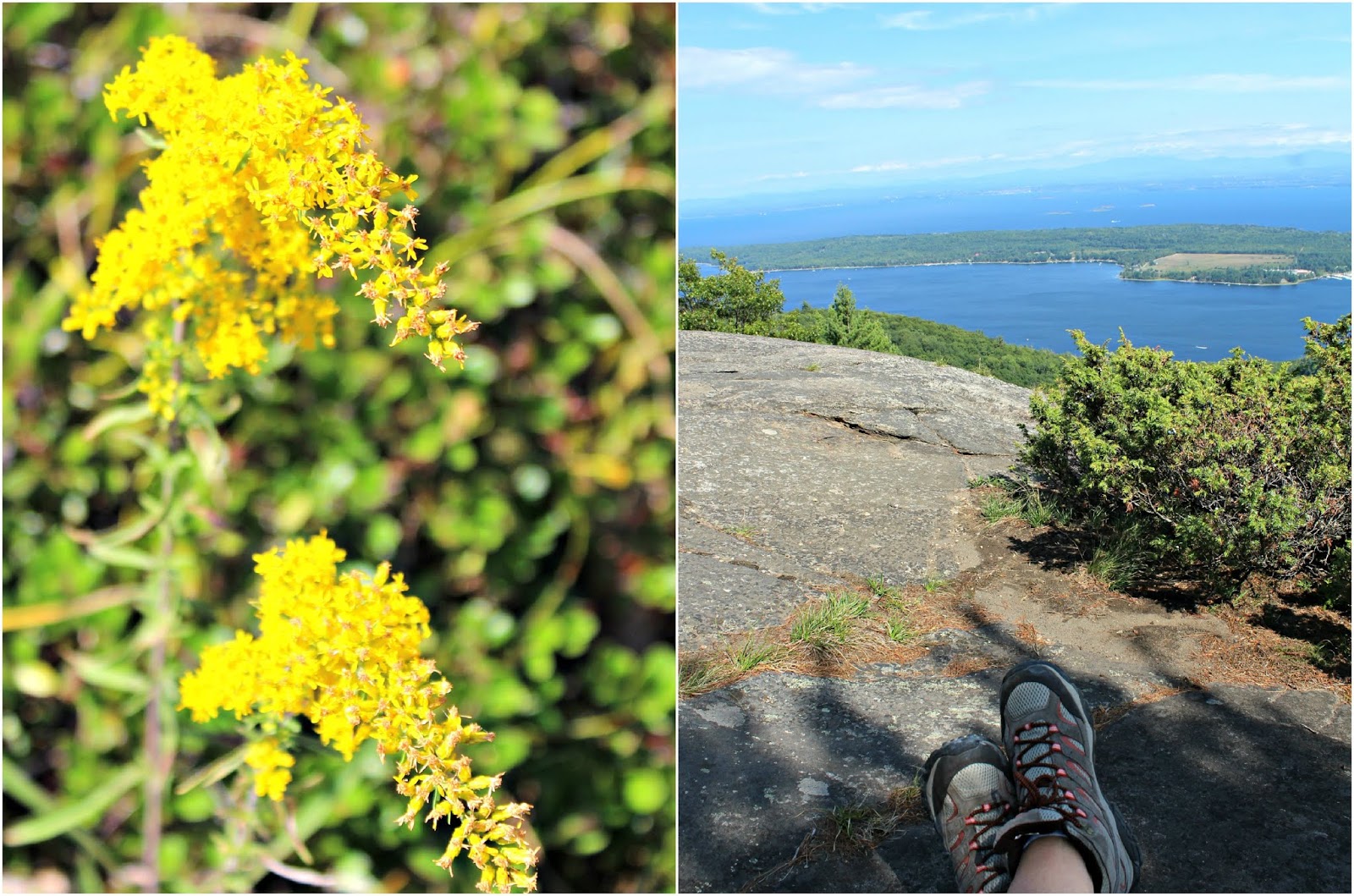The Top of Rattlesnake Mountain in the Adirondack Mountains // New York