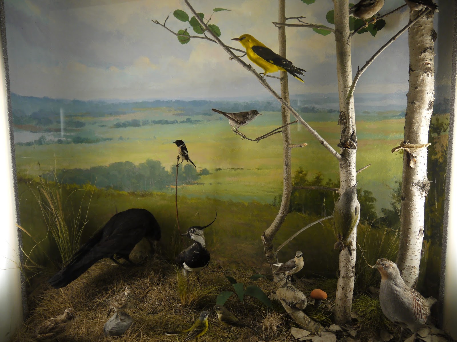 Музей природы урала