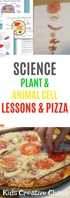 homeschool Plant and Animal Cell Lesson with Pizza Project