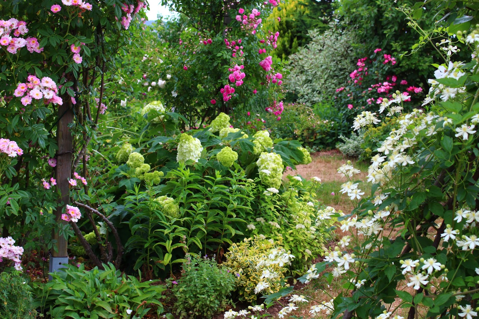 2018 2019 Tarif Professionnel Arbustes Arbres Jeunes Plants