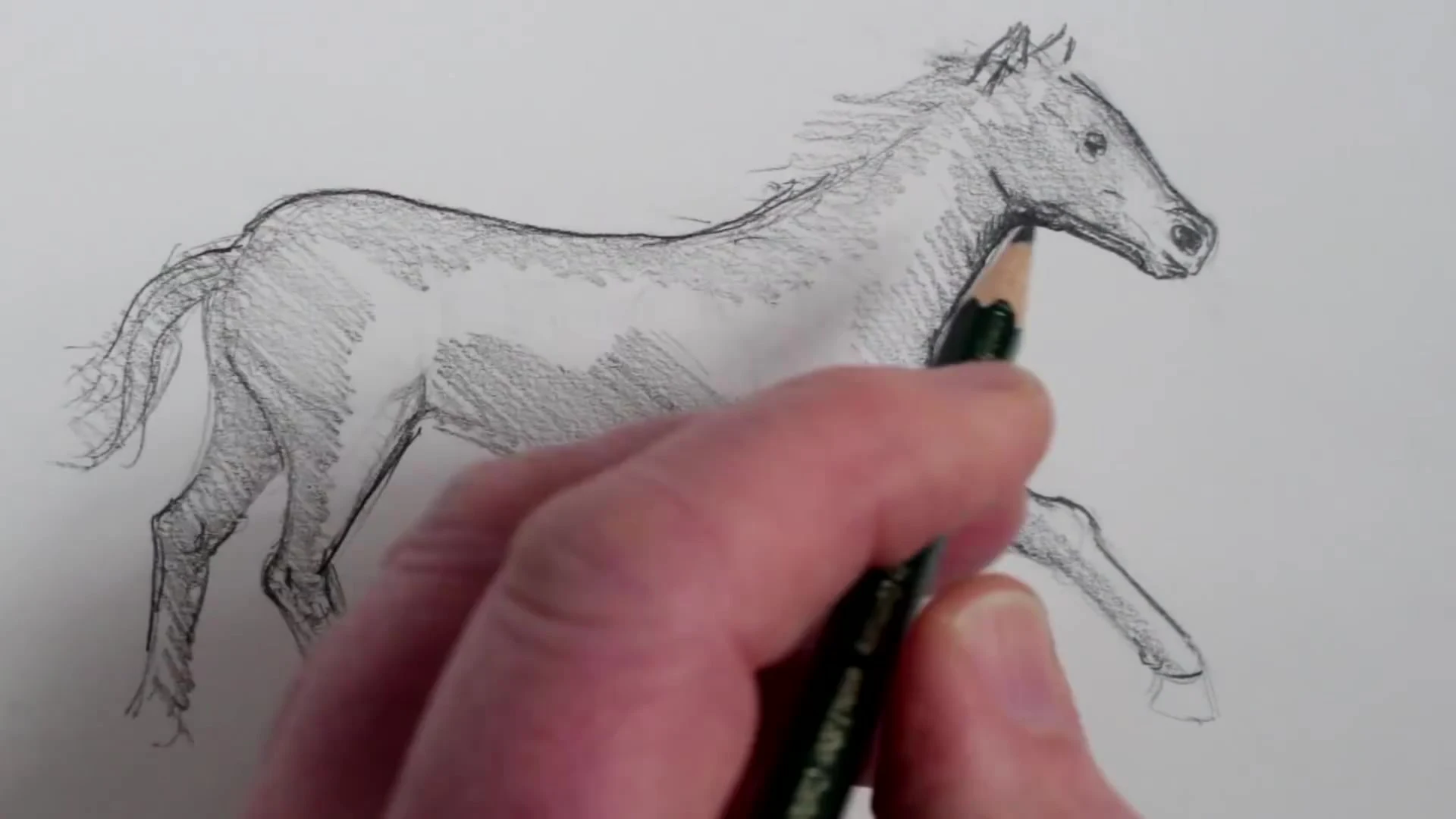 رسم حصان بالرصاص