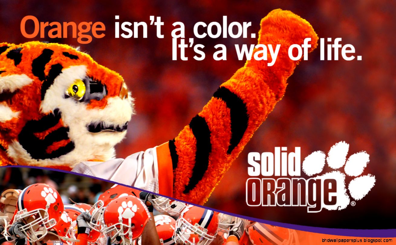 Clemson University  Solid Orange