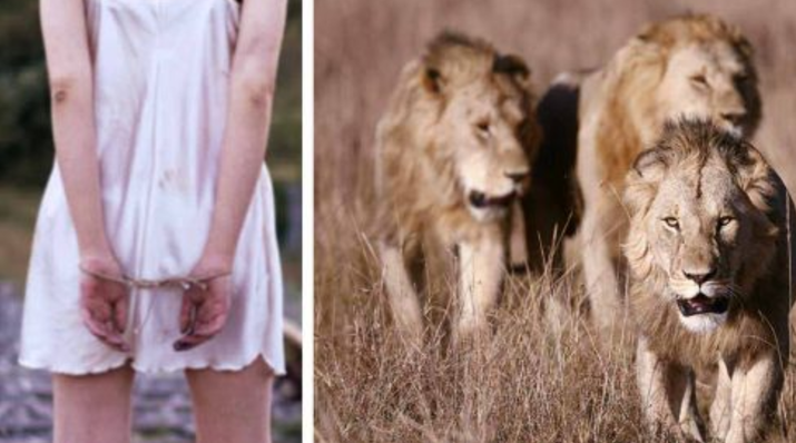 A 12-Year-Old Girl Kidnapped And Beaten By Men - Then Lions Surround Her And Make The Unthinkable