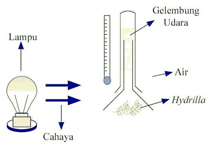 Pembahasan Un Ipa Smp Bimbel St