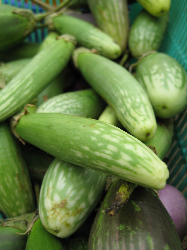 Tanaman: Jenis Jenis Tanaman Sayuran