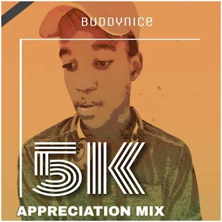 Buddynice - 5K Appretiation Mix