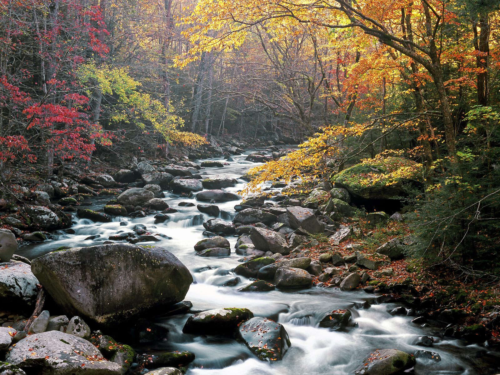 10 Fascinating Tennessee Tourist Attractions World Tourist