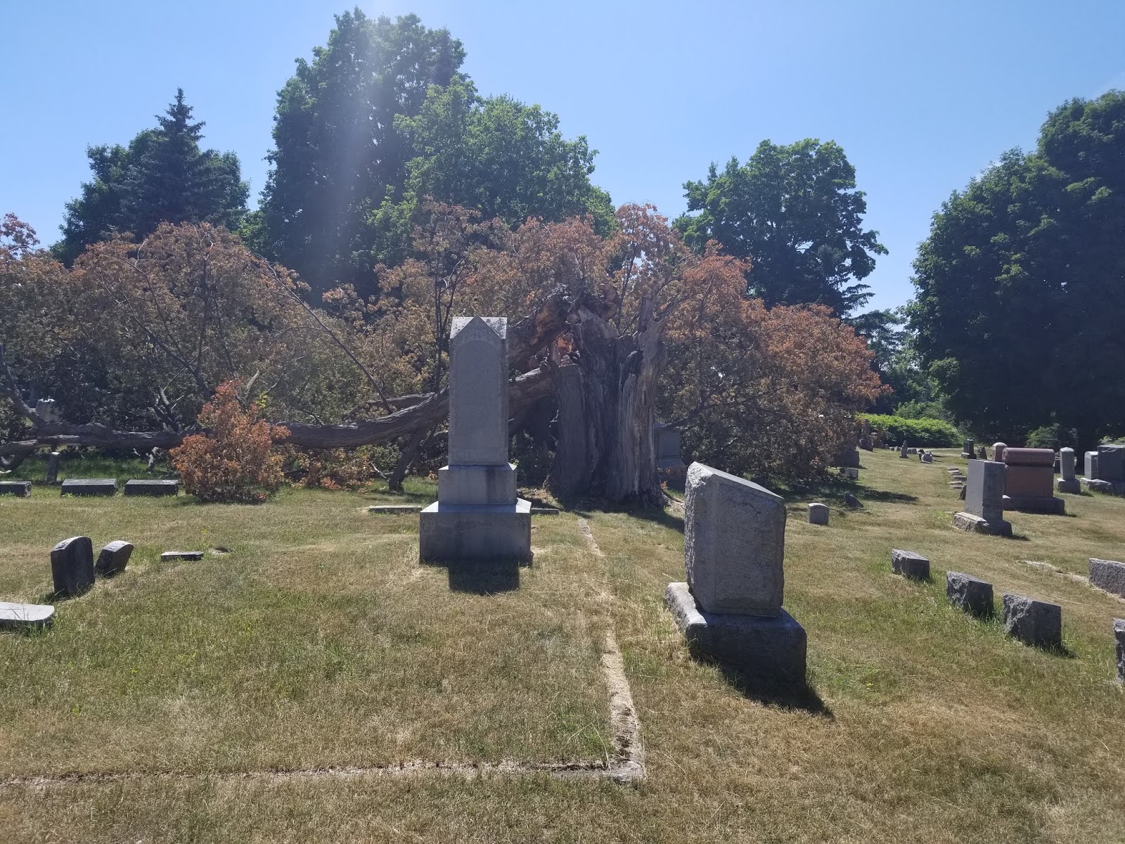 Haunted Flint A Visit to Avondale Cemetery in Flint, Michigan