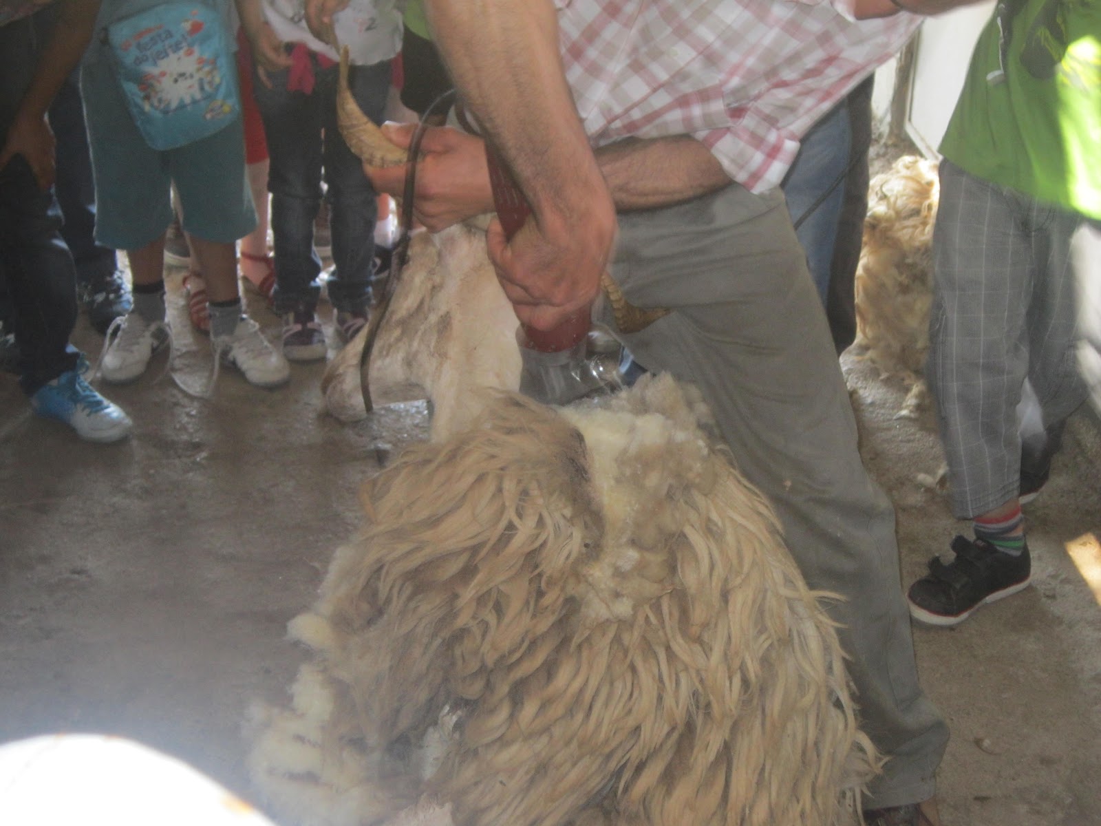 Janu\u00e1rios e Boguinhas: 2012 Esta obra foi licenciada