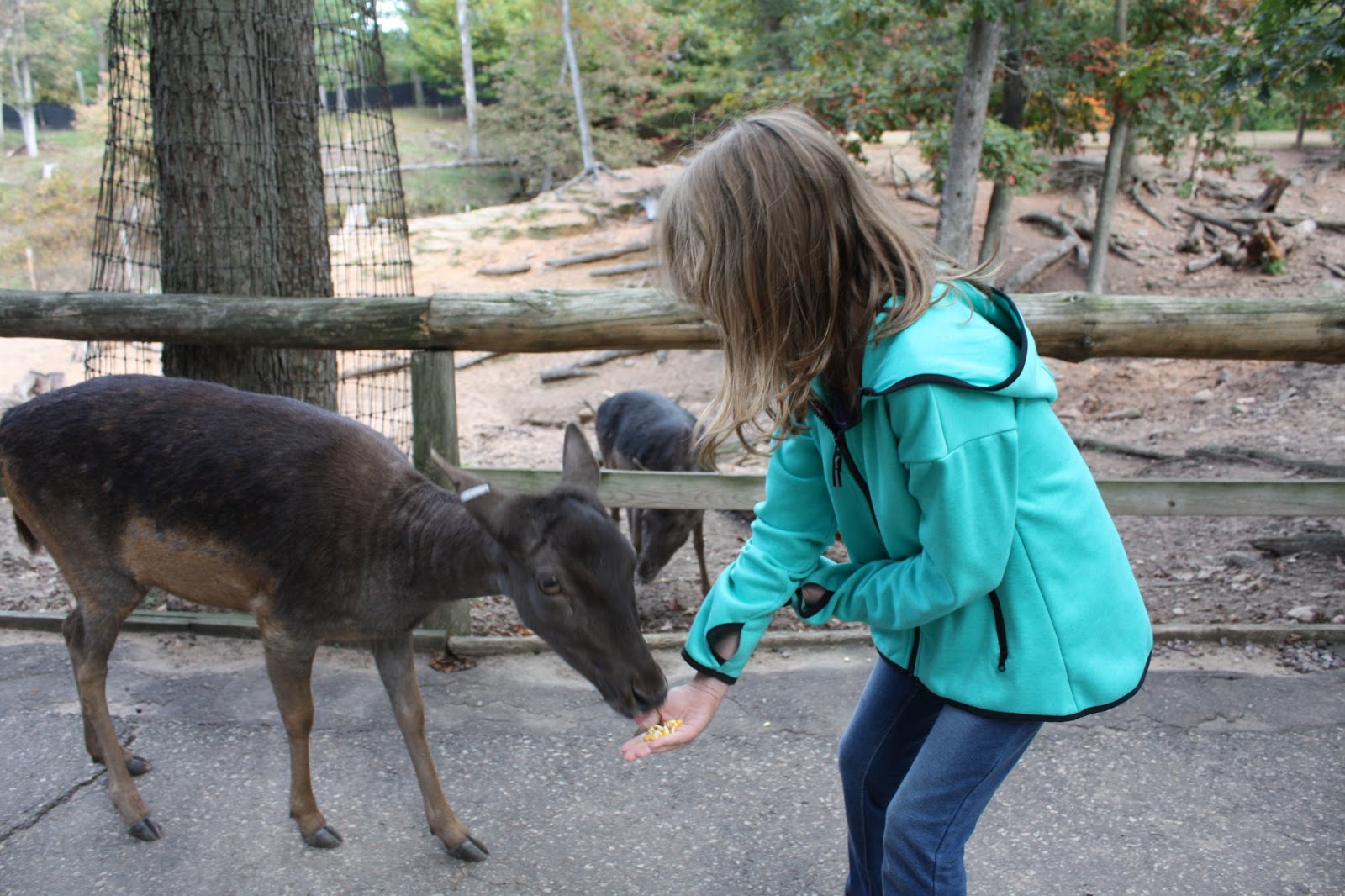 A Little Time and a Keyboard Fall Family Weekend Fun in Wisconsin Dells