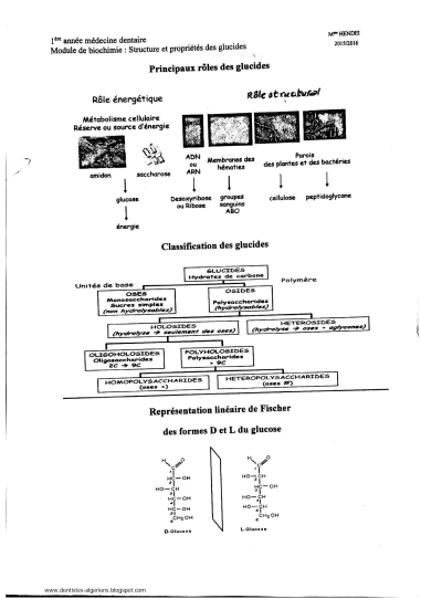 Cours De Biochimie Pdf