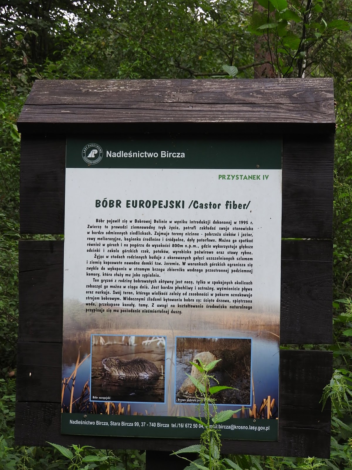 SZLAK BOBROWA DOLINA visual data 4