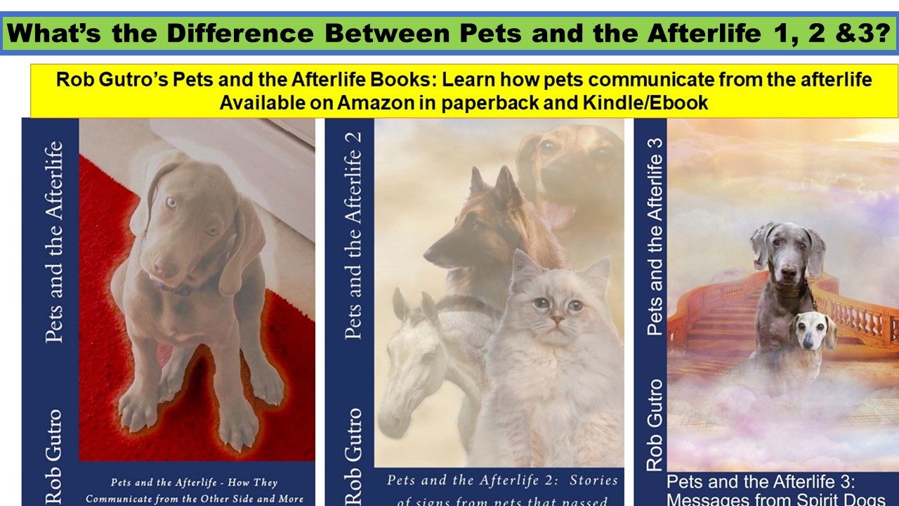 What's the Difference Between Pets and the Afterlife 1, 2 and 3