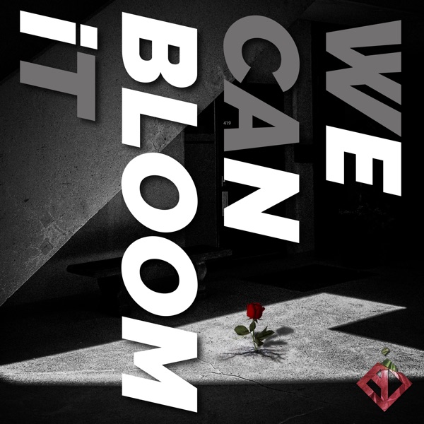 ENOi – Bloom – Single