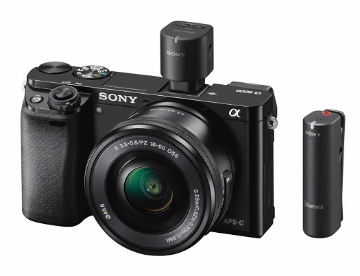 sony a6000 nex-6 replacement