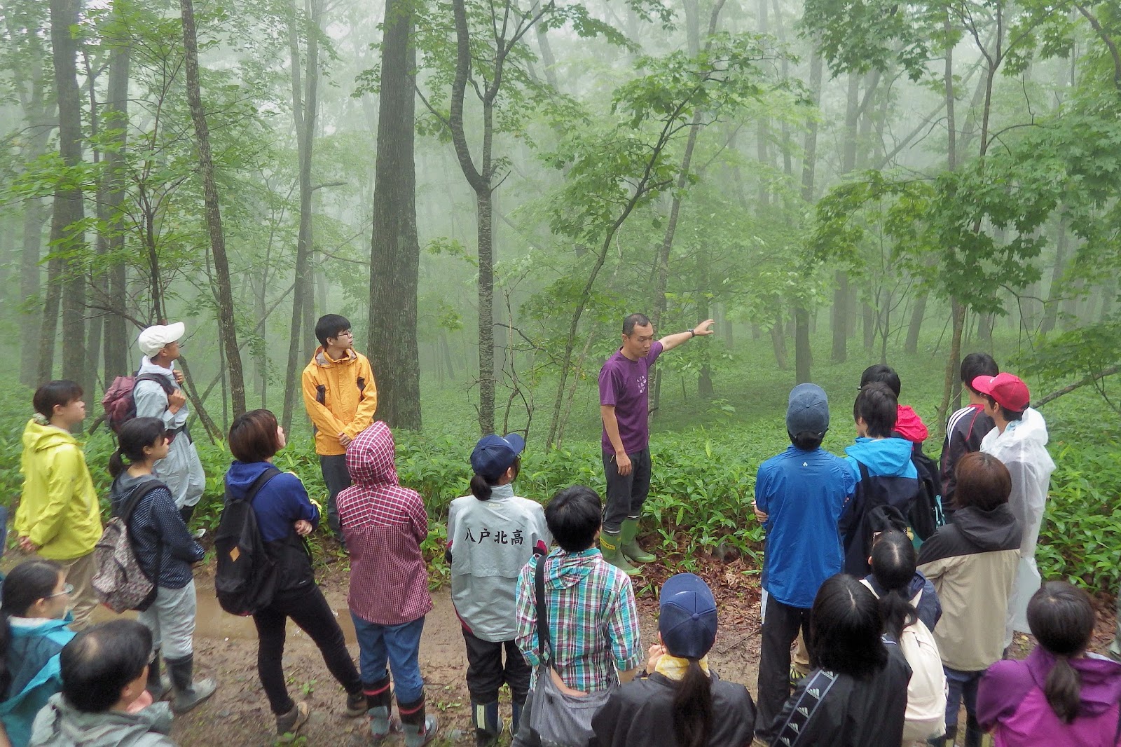 アストゥリアスの動植物 - 絶滅の危機に瀕するアストゥリアスの動植物