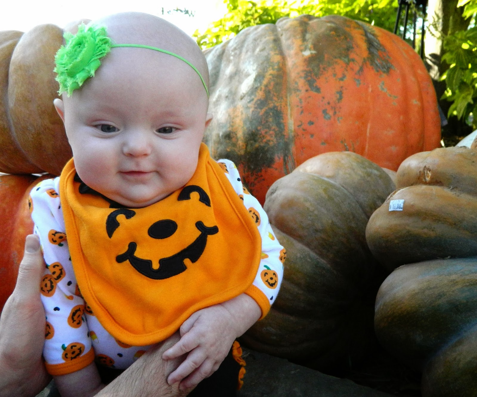 Polka-Dotty Place: Taking Our Lil' Pumpkin to the Pumpkin Patch