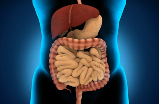 Nyesel Kalau Tidak Minum Air Putih Setiap Hari! Inilah 10 Manfaat Minum Air Putih Yang Dahsyat