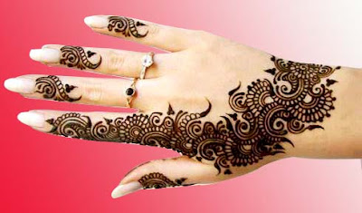 Pakistani Mehndi Designs Pakistani Mehndi Designs