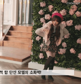 원초적 케이