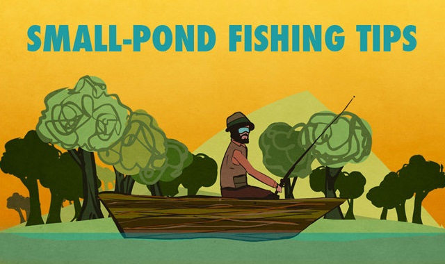 Image: Small Pond Fishing Tips #infographic