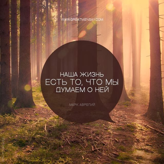 Красивые стихи о жизни. Самые красивые стихи о жизни. Цитаты про врагов и завистников. Нужно надеяться только на себя цитаты. Цитата чтобы человек задумался.